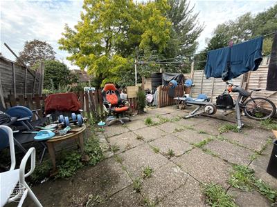 Picture 21